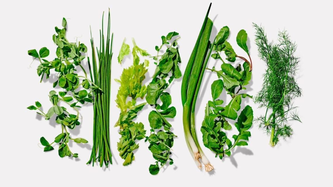 Types of Herbs