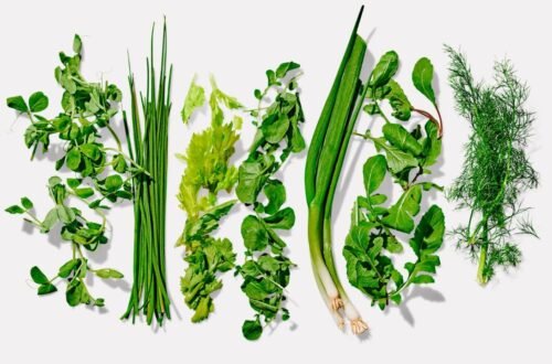 Types of Herbs