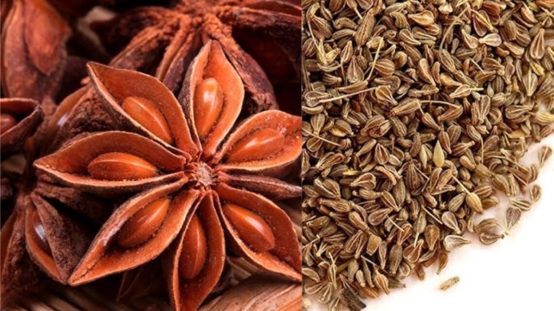 Anise Benefits