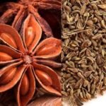 Anise Benefits