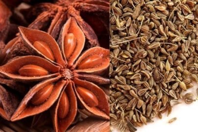 Anise Benefits