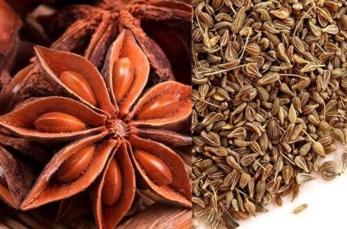 Anise Benefits