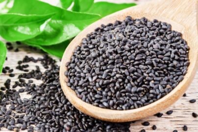 Basil Seeds Benefits