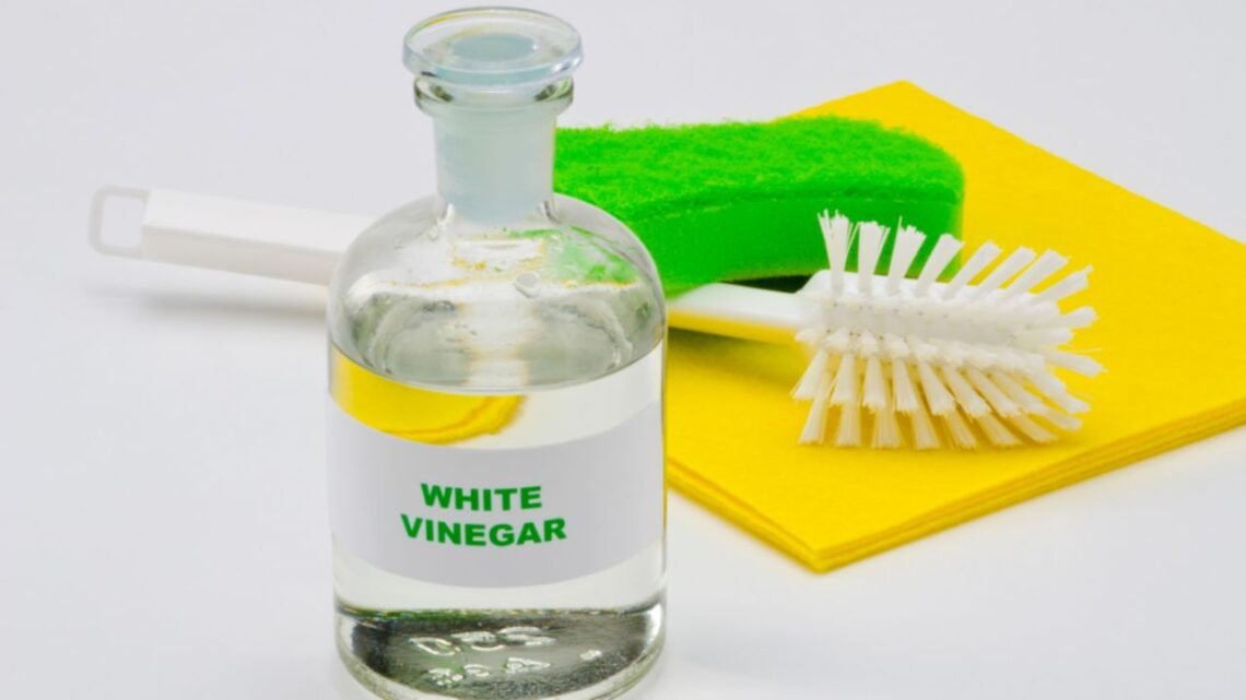 Does Vinegar Kill Mold