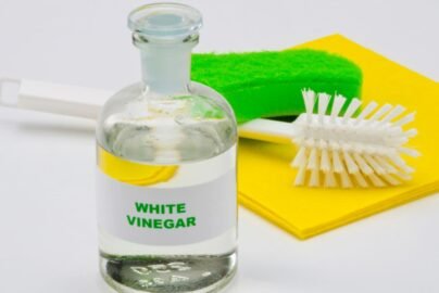 Does Vinegar Kill Mold