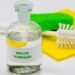 Does Vinegar Kill Mold