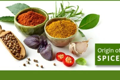 20 Jenis Rempah-Rempah