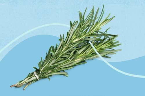 How to Use Rosemary Water for Hair Growth