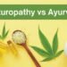 Naturopathy vs Ayurveda