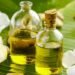 Murivenna Oil Uses