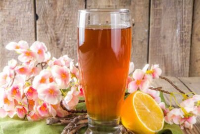 Nannari Sharbat Benefits