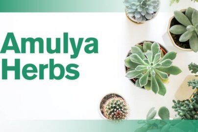 Amulya Herbs