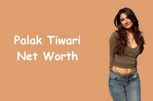 Palak Tiwari Net Worth