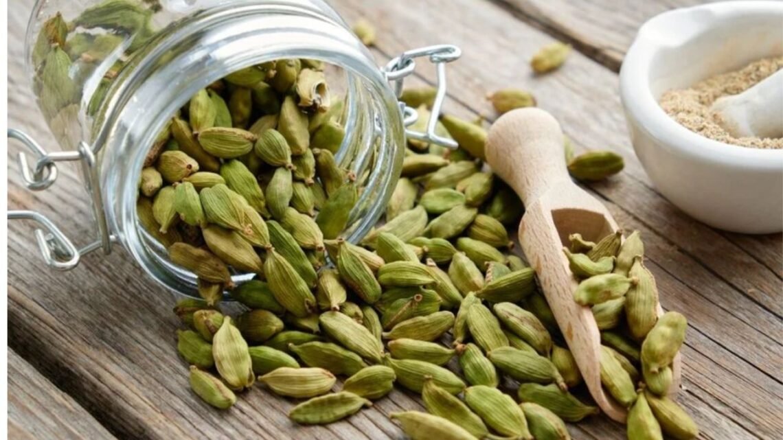 What is Cardamom