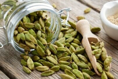What is Cardamom