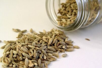 Fennel Seeds