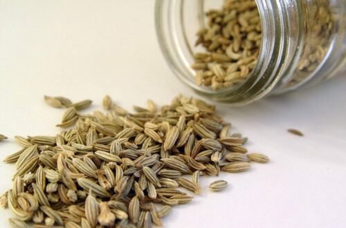 Fennel Seeds
