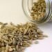 Fennel Seeds