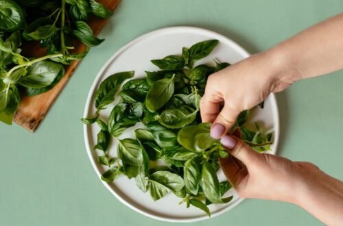 Fresh Oregano Leaves
