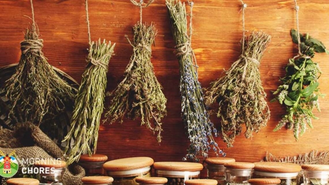 How to Dry Herbs