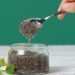 How to Eat Chia Seeds