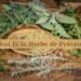What Is in Herbs de Provence