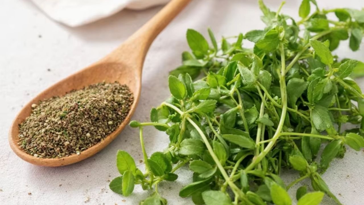 Marjoram Spice Guide Flavor Uses And Cooking Tips marjoram-spice-guide-flavor-uses-and-cooking-tips