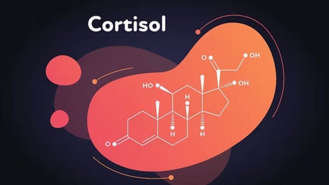 cortisol detox diet