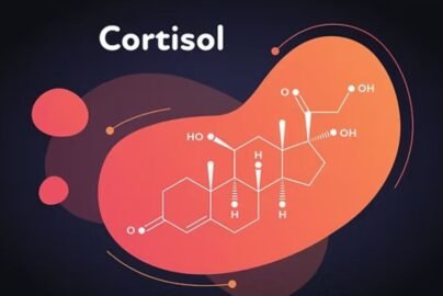 cortisol detox diet