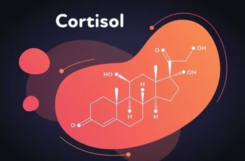 cortisol detox diet