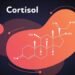 cortisol detox diet