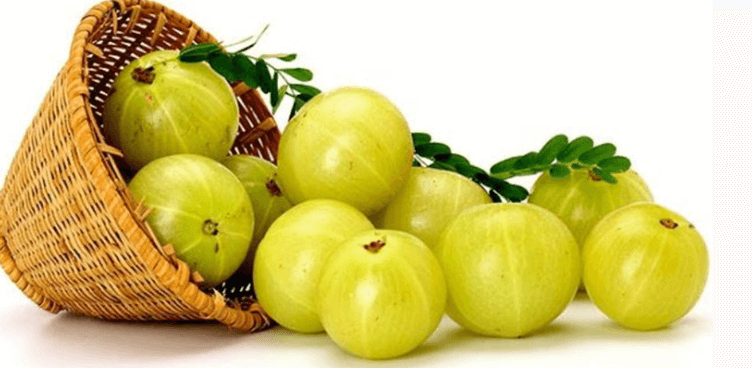 Amla